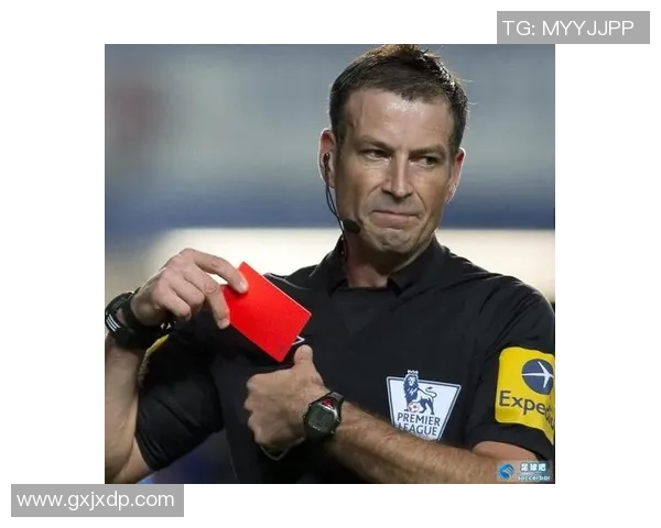 足球球星老虎头像精美设计彰显运动激情与霸气气质