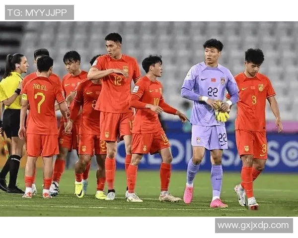 某球星谈中国足球发展：以国家队为核心推动整体进步